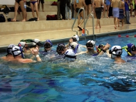 IMG_6019 IMG_6019