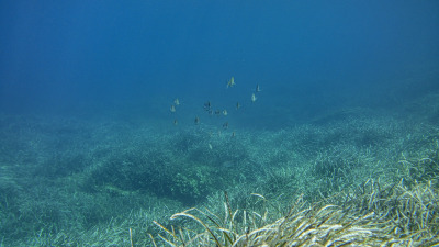 TCB_Elba_2026_0019