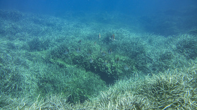 TCB_Elba_2026_0020