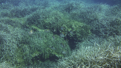 TCB_Elba_2026_0021