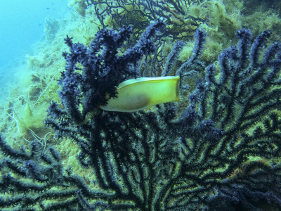 DCIM\100GOPRO\GOPR1692.JPG