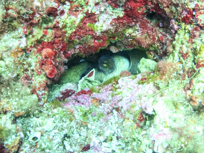 DCIM\100GOPRO\GOPR1696.JPG