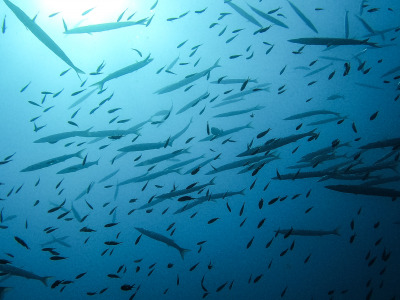 DCIM\100GOPRO\GOPR1701.JPG
