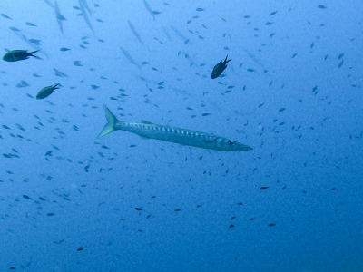 DCIM\100GOPRO\GOPR1702.JPG