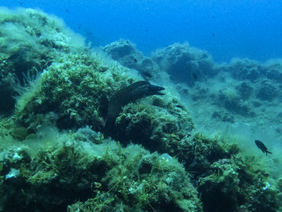 DCIM\100GOPRO\GOPR1721.JPG