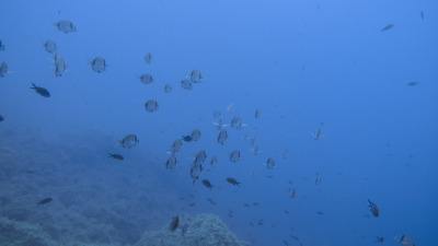 TCB_Elba_2026_0030