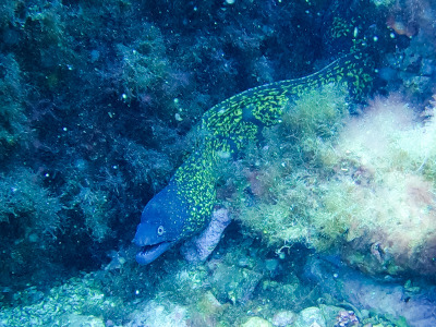 DCIM\100GOPRO\GOPR1735.JPG