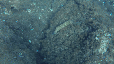 TCB_Elba_2026_0034