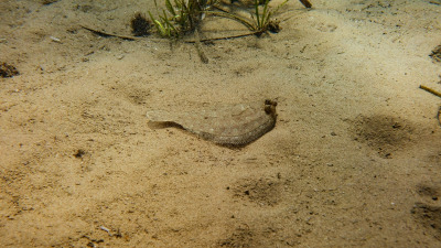TCB_Elba_2026_0053
