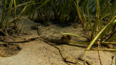 TCB_Elba_2026_0055