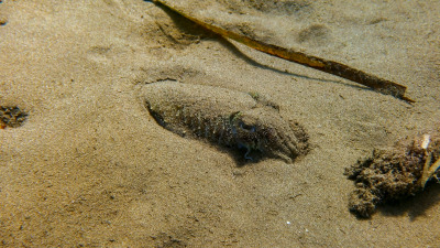 TCB_Elba_2026_0063