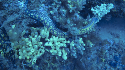 TCB_Elba_2026_0068