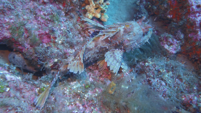 TCB_Elba_2026_0071