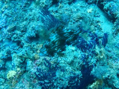 DCIM\100GOPRO\GOPR1766.JPG