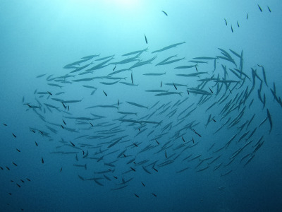 DCIM\100GOPRO\GOPR1747.JPG