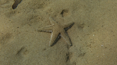 TCB_Elba_2026_0099