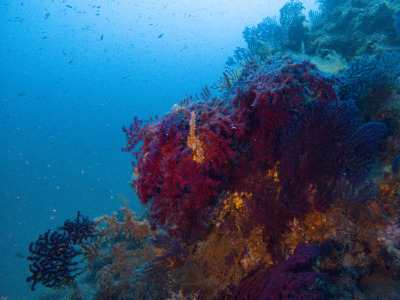 C:\DCIM\100GOPRO\GOPR1885.GPR