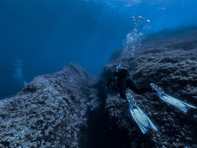 TCB_Elba_2026_0165