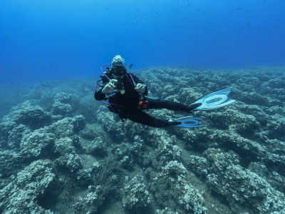 TCB_Elba_2026_0169