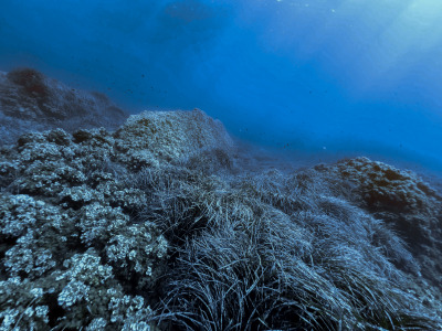 TCB_Elba_2026_0185