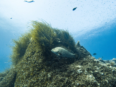 C:\DCIM\100GOPRO\GOPR1924.GPR