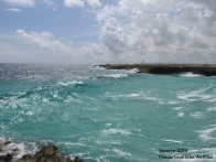 Bonaire (4)