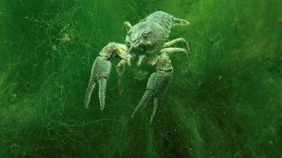 IMG_2657-scaled